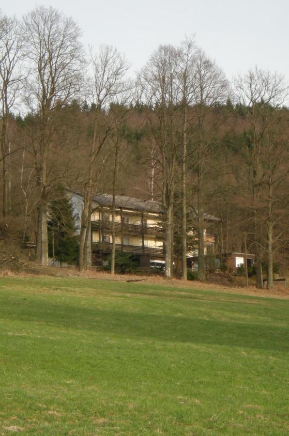 Ferienhaus Napoleon Waldmünchen Exterior foto